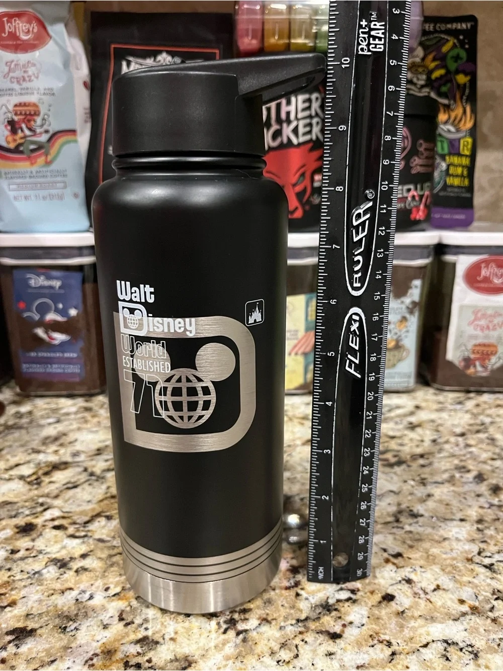 Walt Disney World Black Dreams Do Come True Stainless Steel Water Bottle